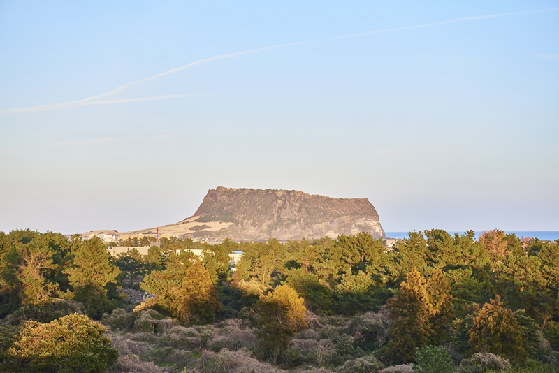 성산일출봉숙소3.jpg c0ddee70f3194f89ffba7c17db490be3.jpg