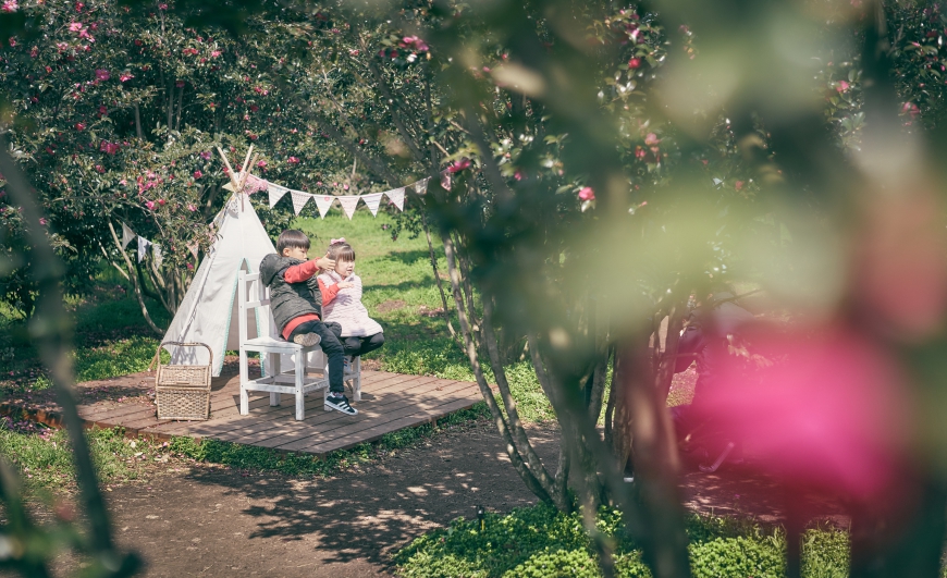 수정03_10 휴애리 편집 110.jpg e379a203759ab3e02008ad23f6242cf1.jpg